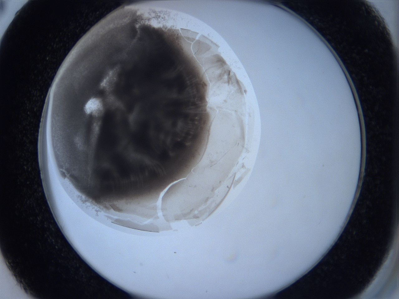 0629_D2_ImagerDefaults_3.jpg