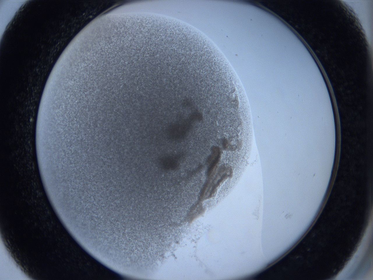 0629_D3_ImagerDefaults_4.jpg