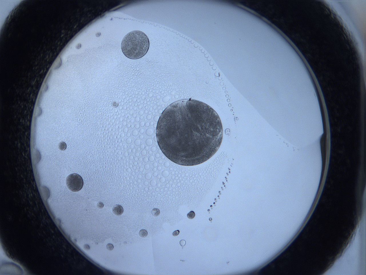 0629_D10_ImagerDefaults_5.jpg