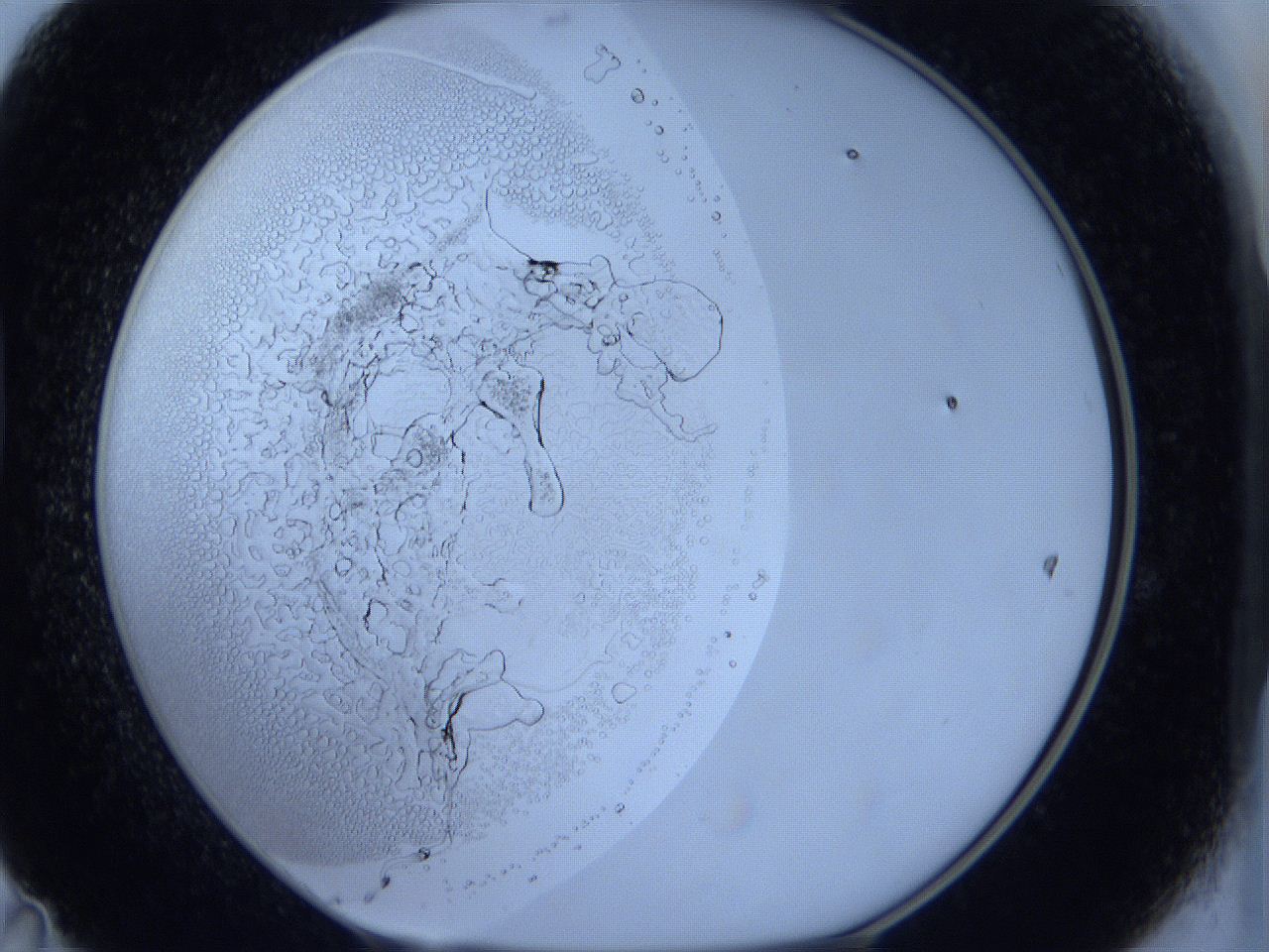 0629_D11_ImagerDefaults_5.jpg