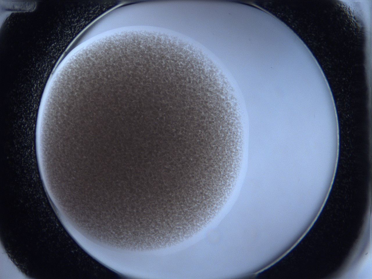 0629_D12_ImagerDefaults_2.jpg