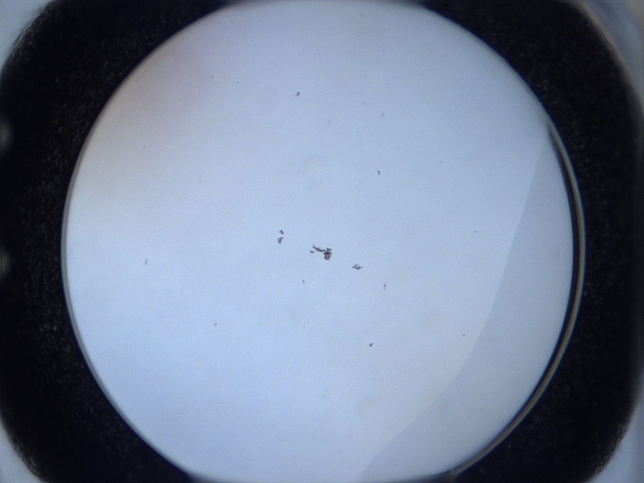 0629_E2_ImagerDefaults_0.jpg