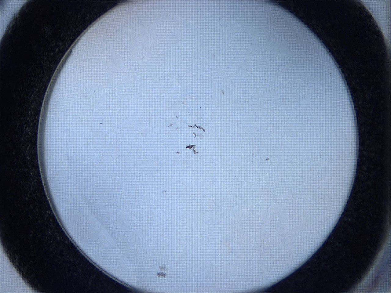 0629_E2_ImagerDefaults_1.jpg