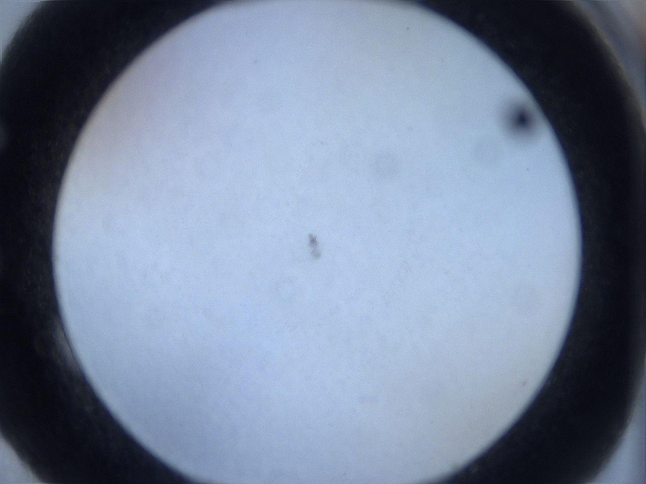 0629_E4_ImagerDefaults_0.jpg