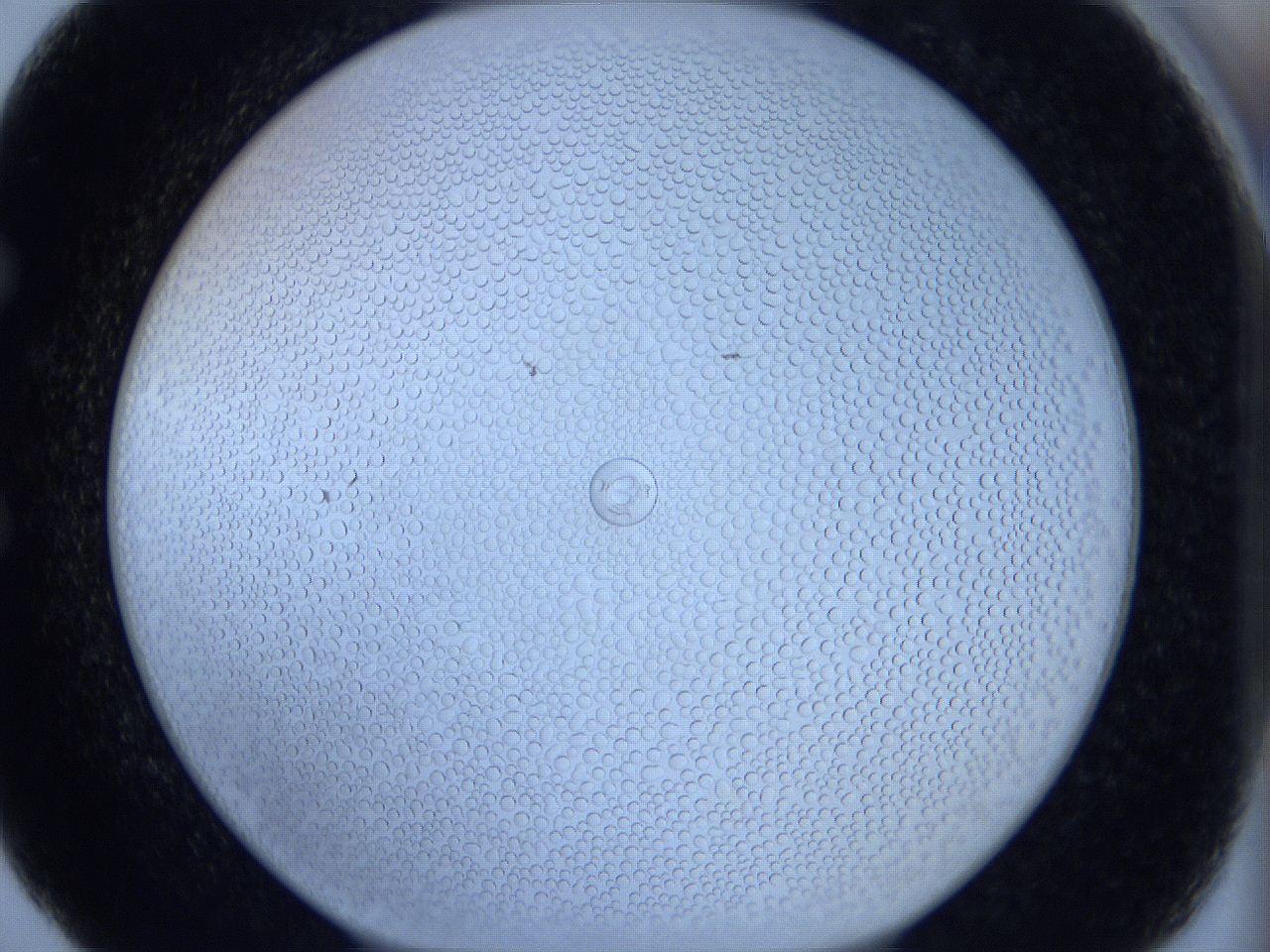 0629_E5_ImagerDefaults_5.jpg