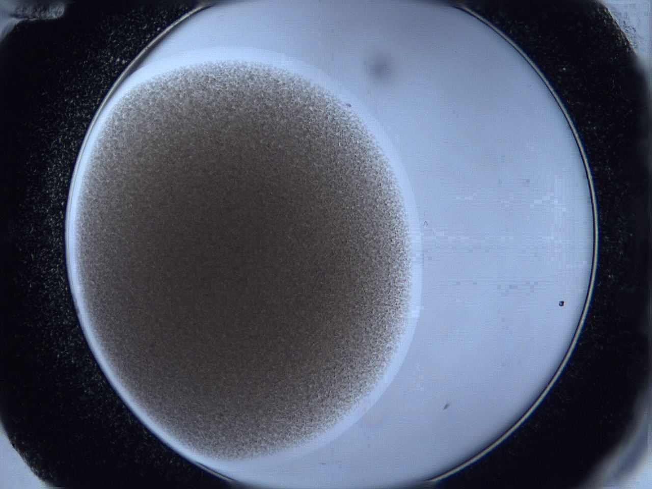 0629_E12_ImagerDefaults_4.jpg