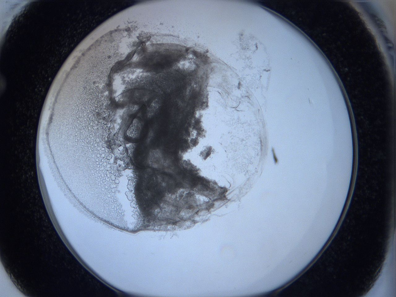 0629_F1_ImagerDefaults_5.jpg