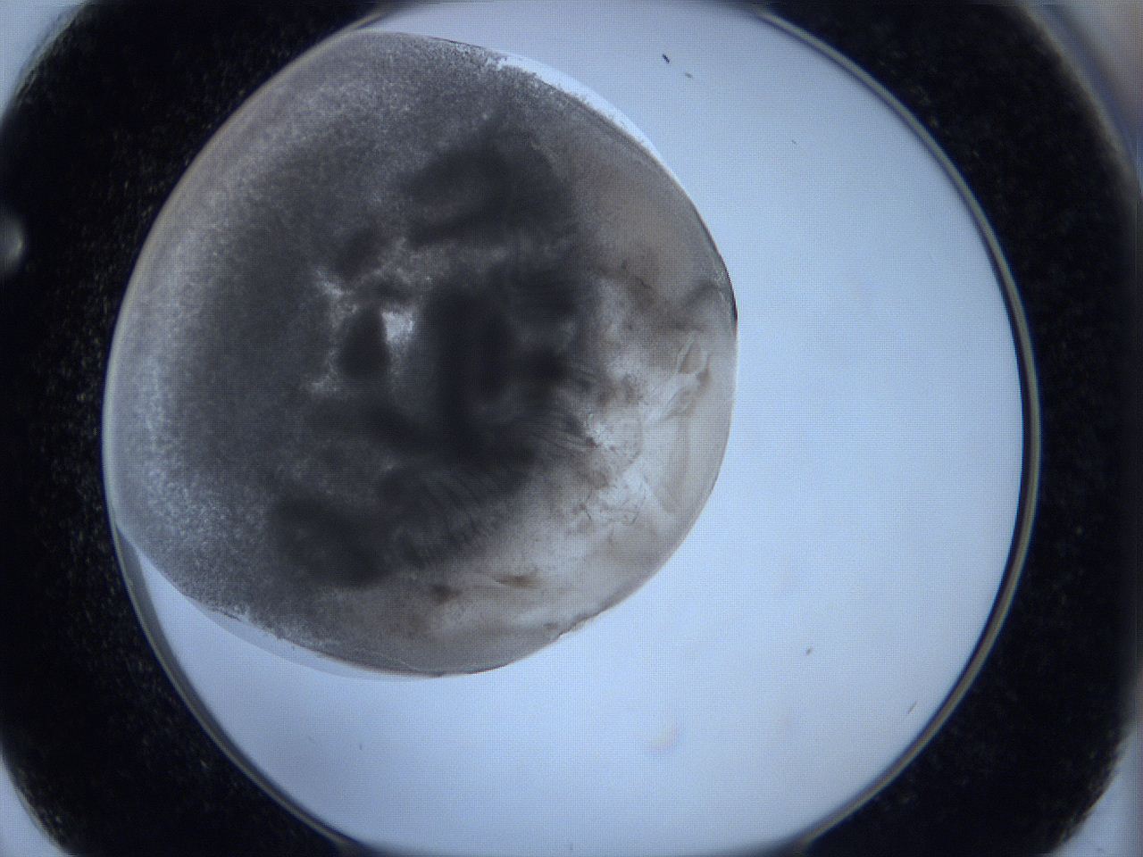 0629_F2_ImagerDefaults_3.jpg