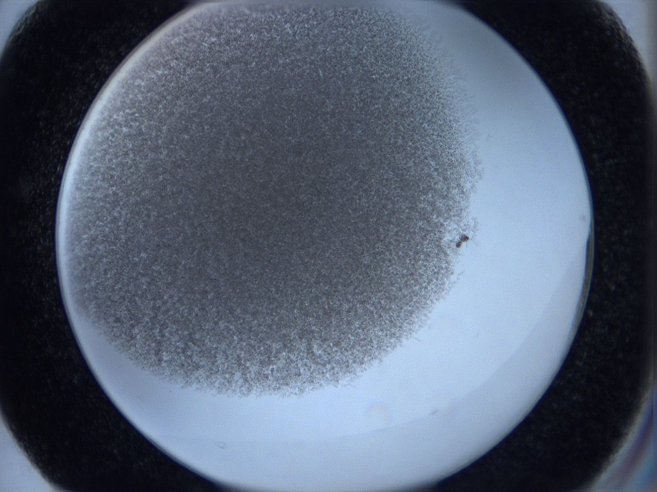 0629_F3_ImagerDefaults_4.jpg