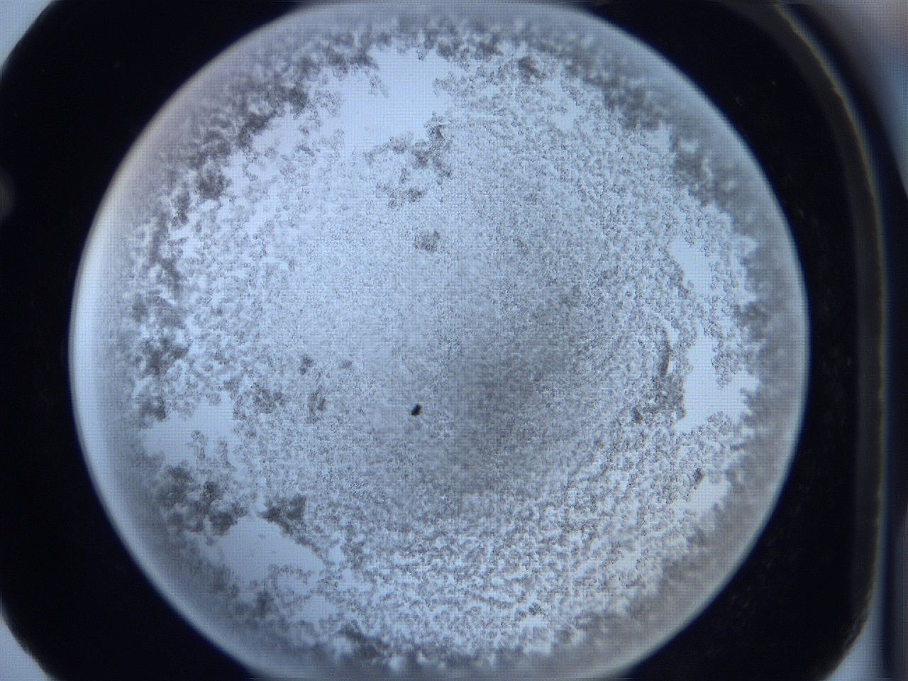 0629_F5_ImagerDefaults_4.jpg