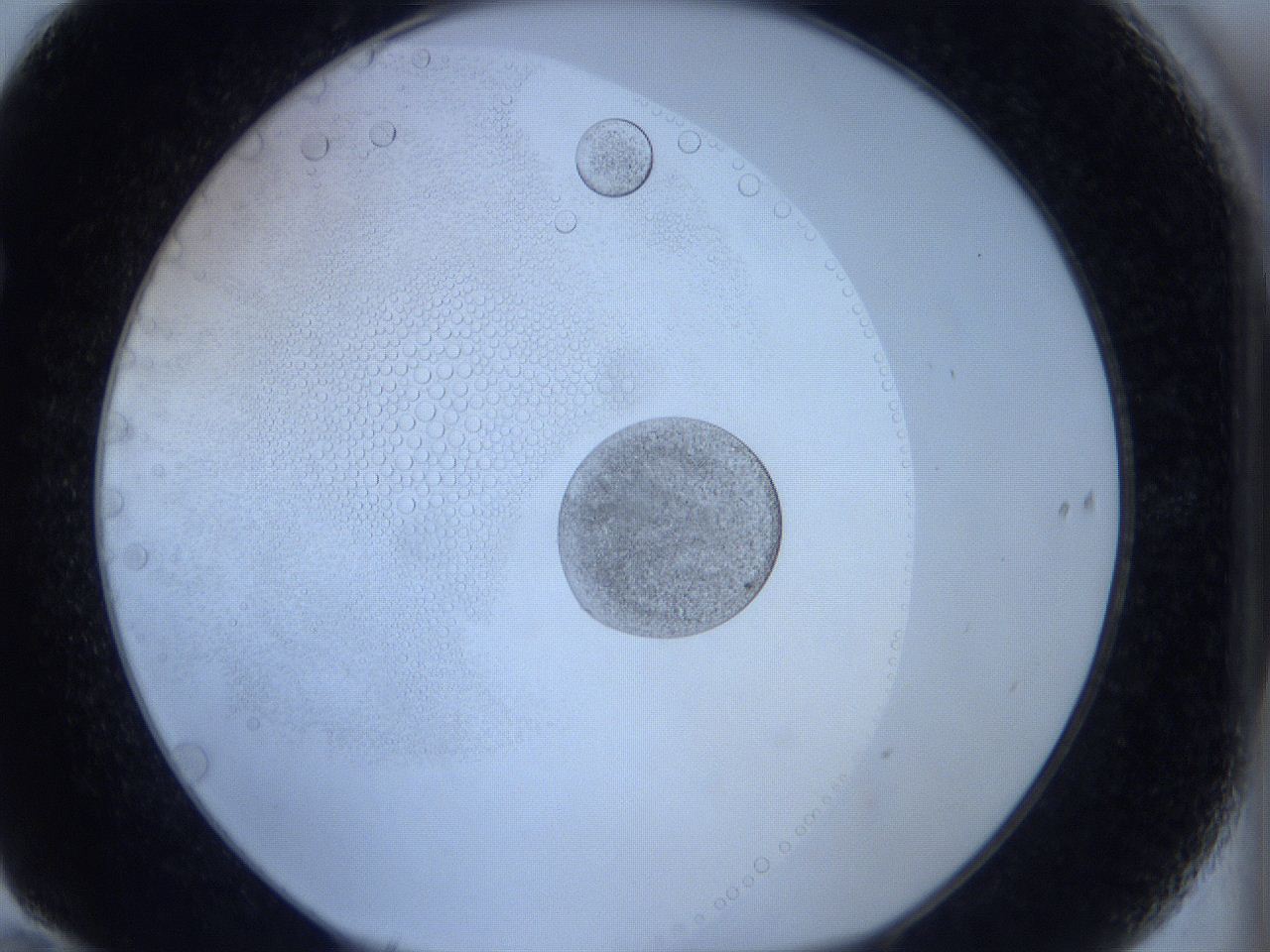0629_F10_ImagerDefaults_5.jpg