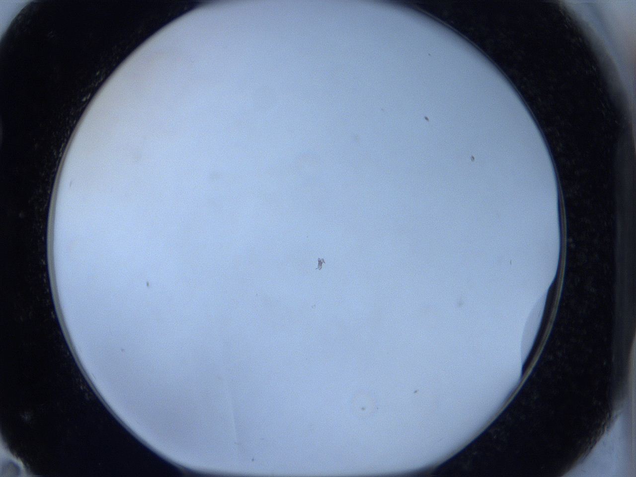 0629_F11_ImagerDefaults_0.jpg