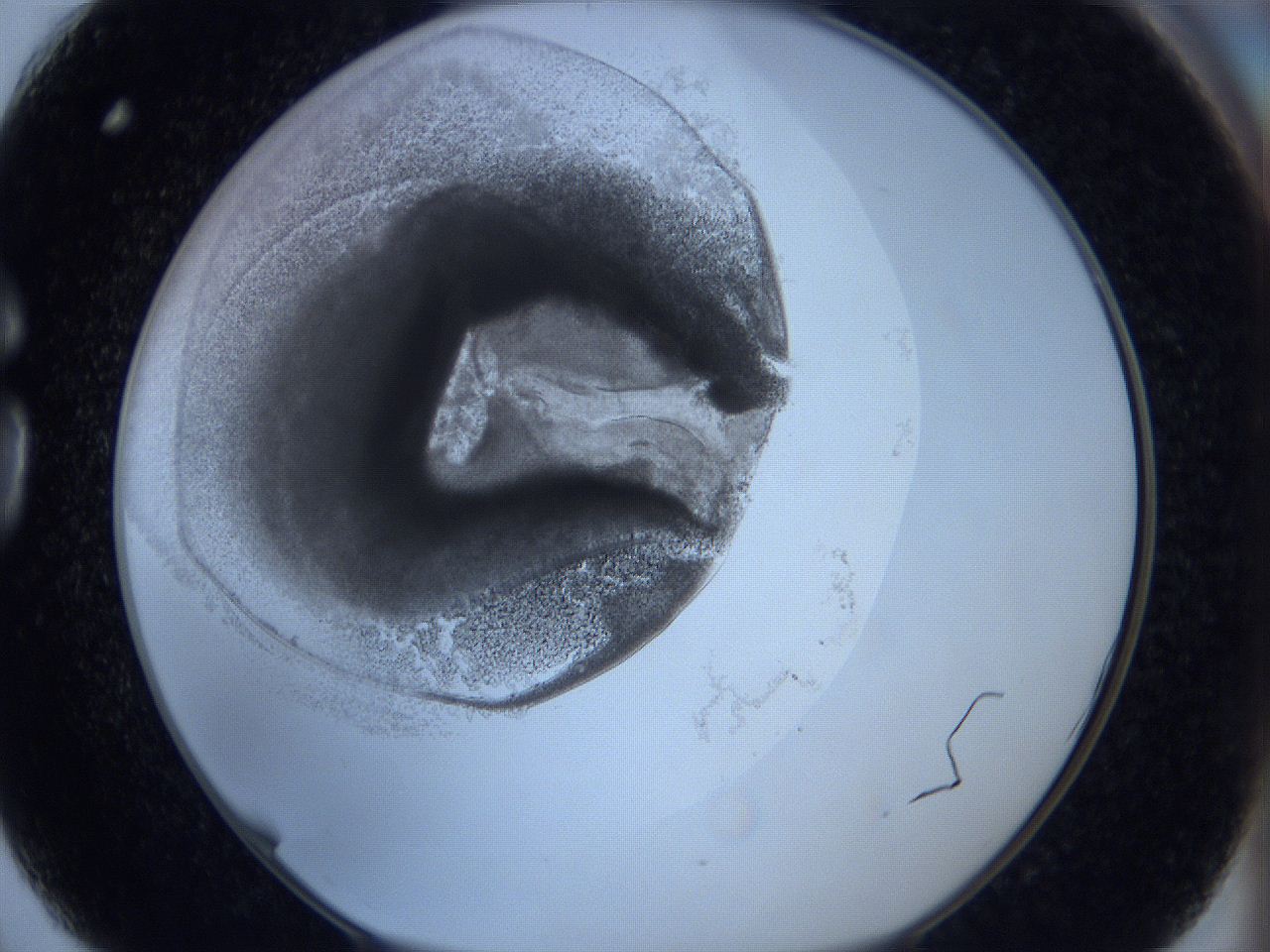 0629_G3_ImagerDefaults_3.jpg