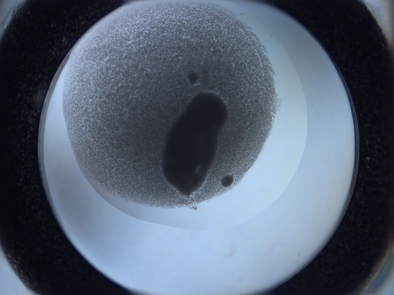0629_G3_ImagerDefaults_4.jpg