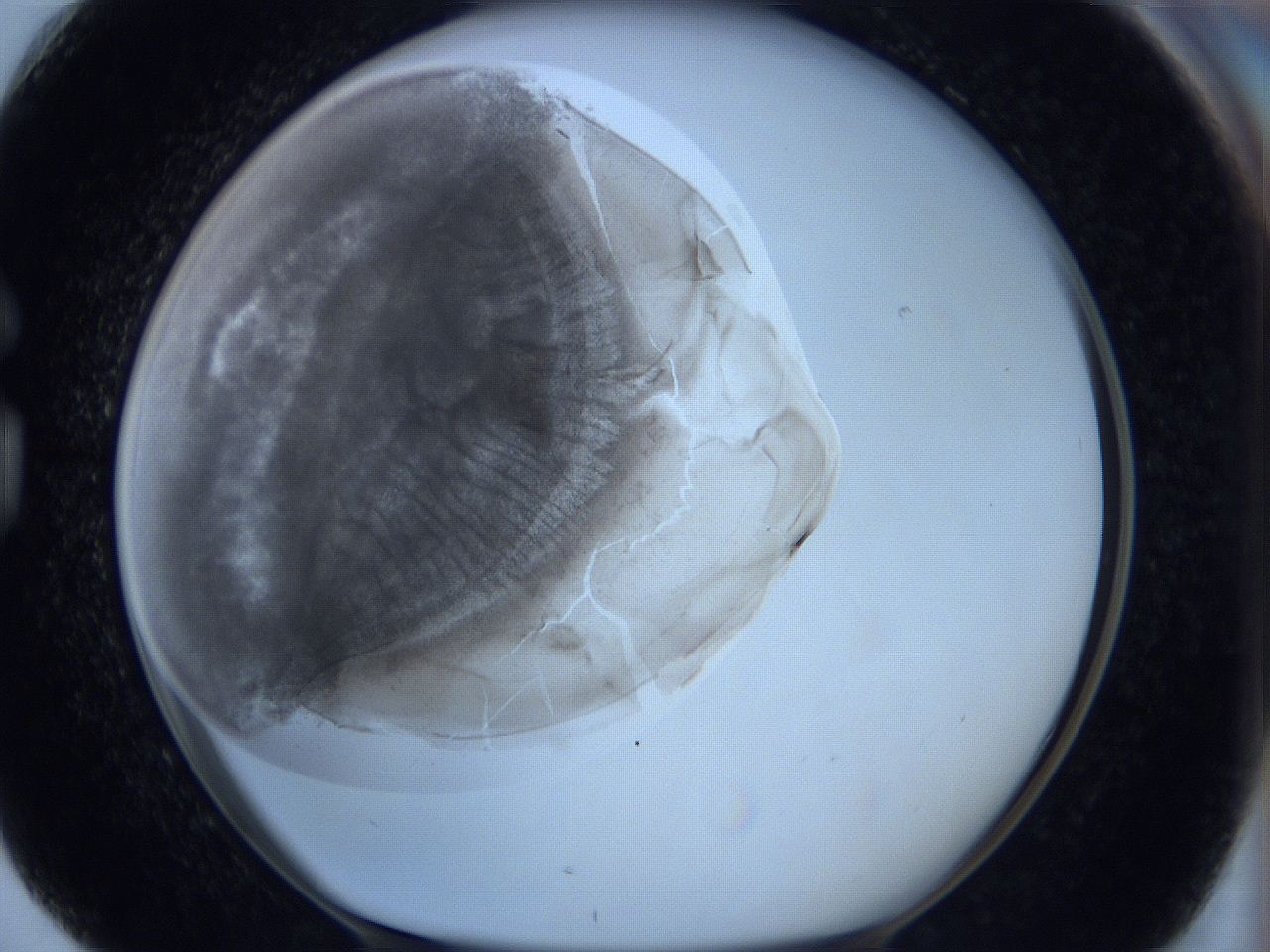 0629_G4_ImagerDefaults_3.jpg