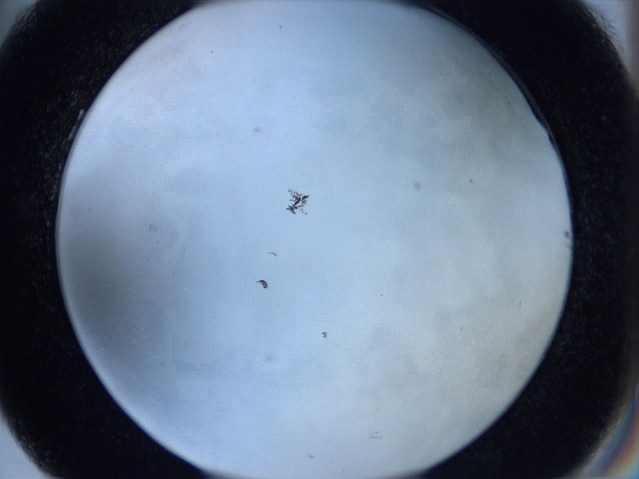 0629_G5_ImagerDefaults_1.jpg