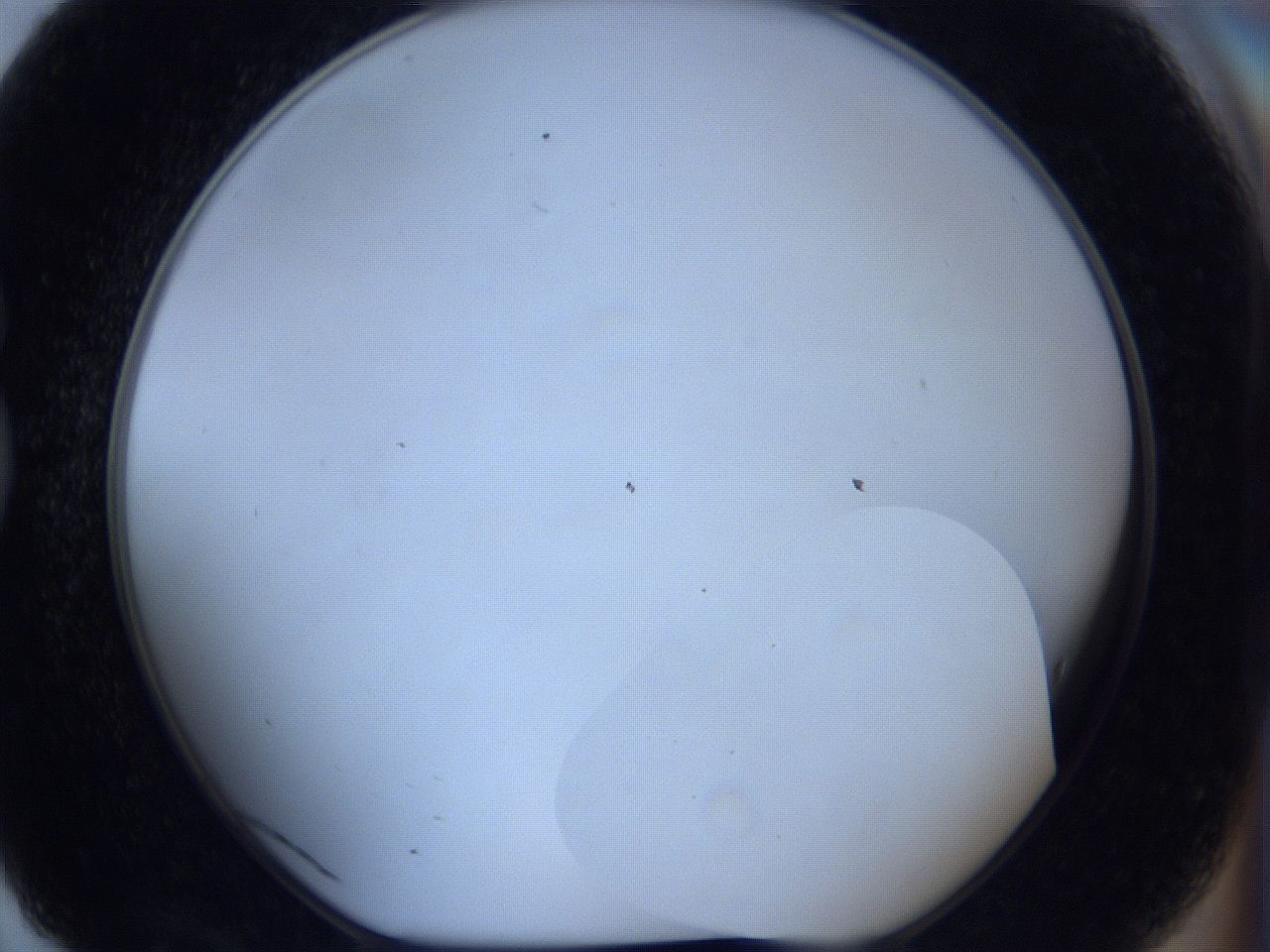 0629_G7_ImagerDefaults_0.jpg
