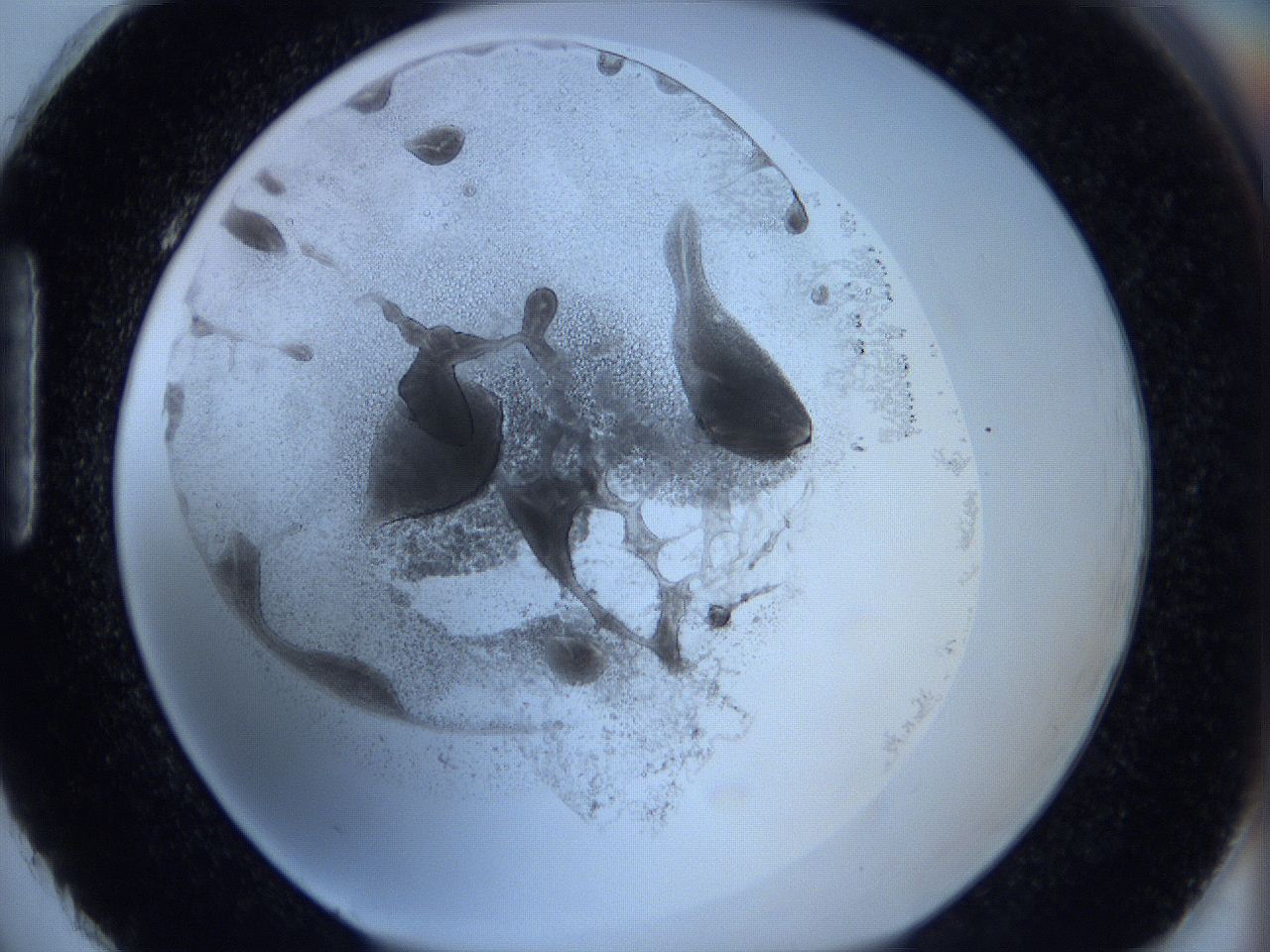 0629_H2_ImagerDefaults_3.jpg