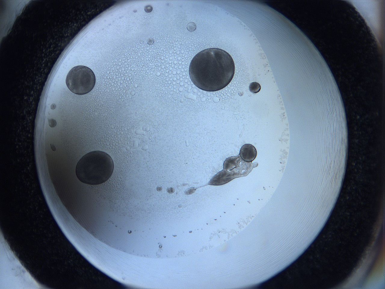 0629_H2_ImagerDefaults_5.jpg
