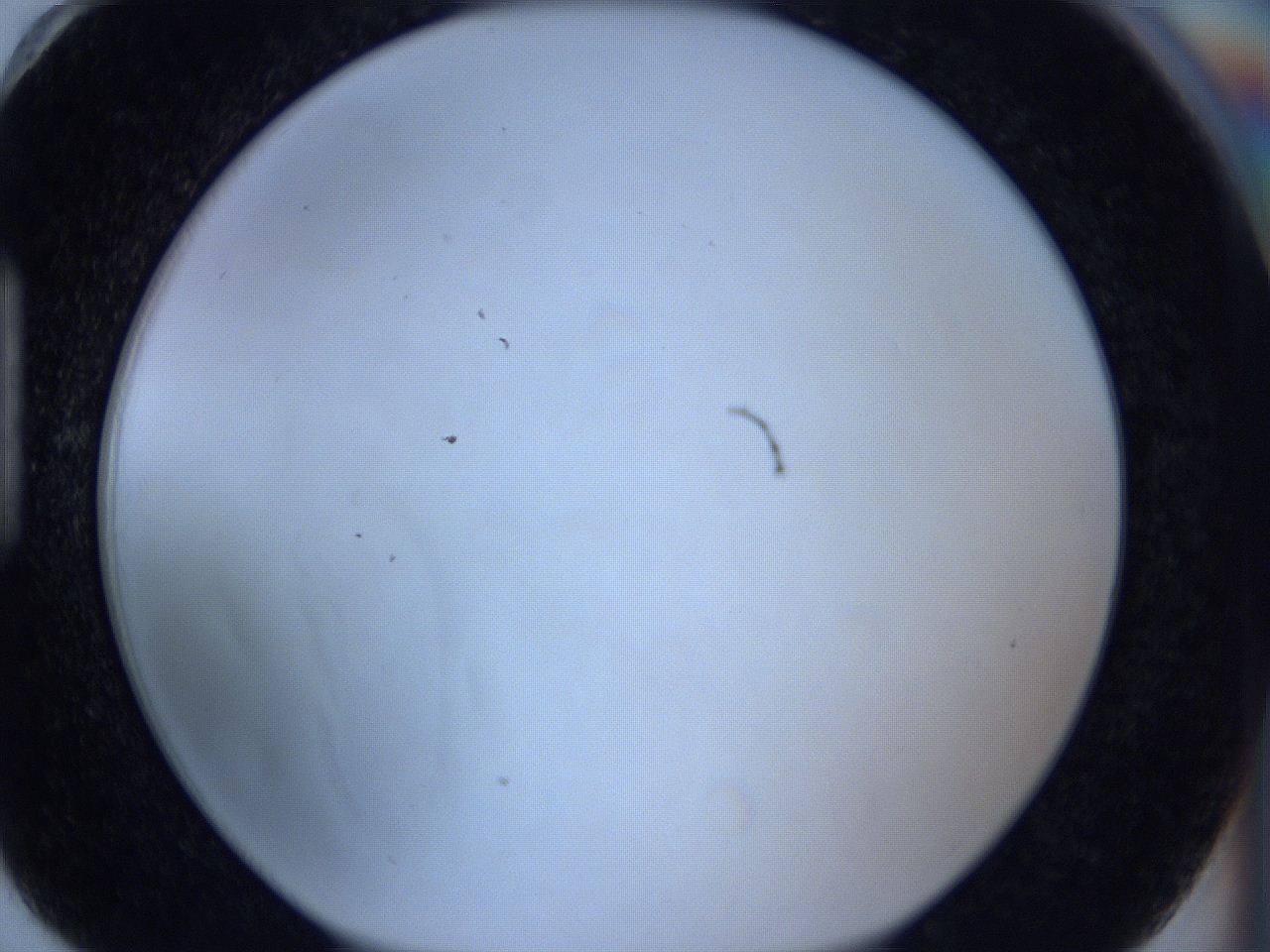 0629_H6_ImagerDefaults_5.jpg