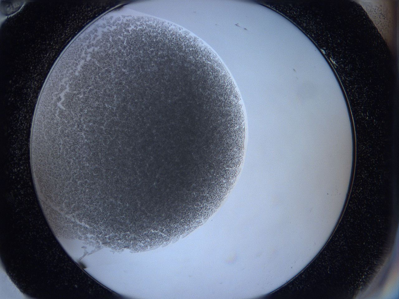 0629_H10_ImagerDefaults_3.jpg