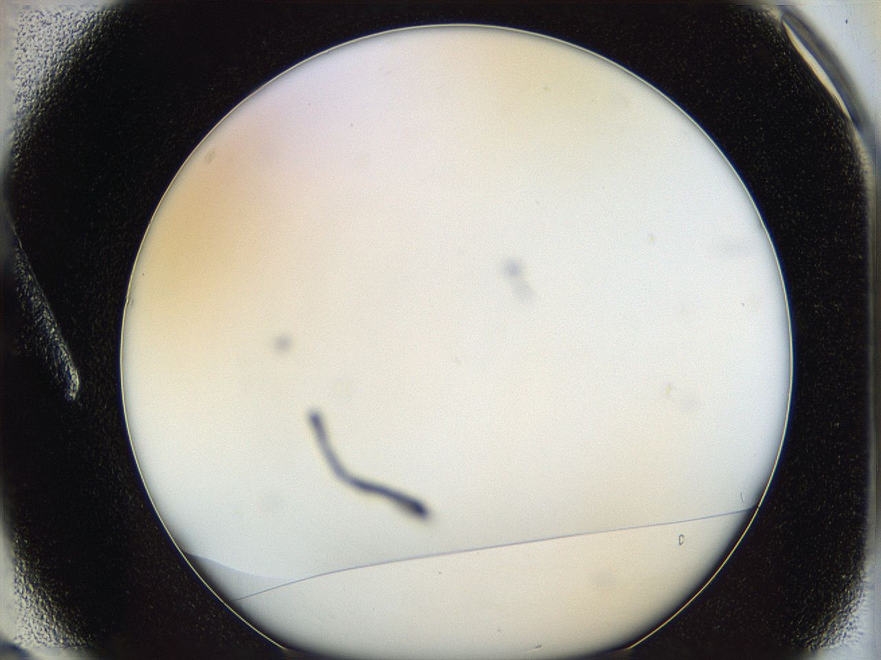 062a_A3_ImagerDefaults_0.jpg