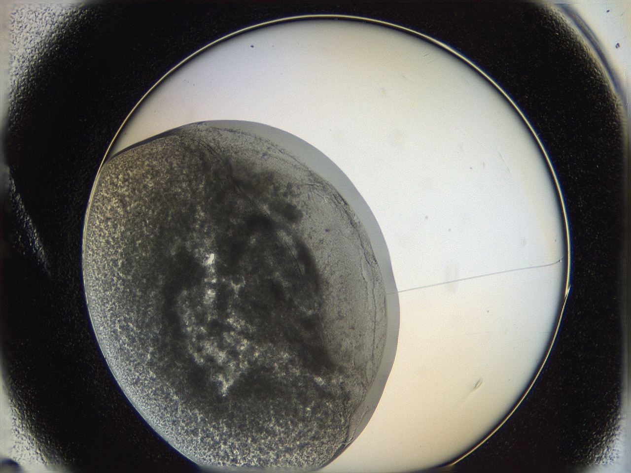 062a_A4_ImagerDefaults_5.jpg