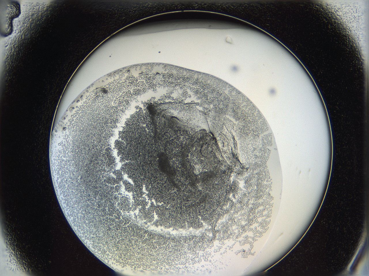 062a_A4_ImagerDefaults_3.jpg