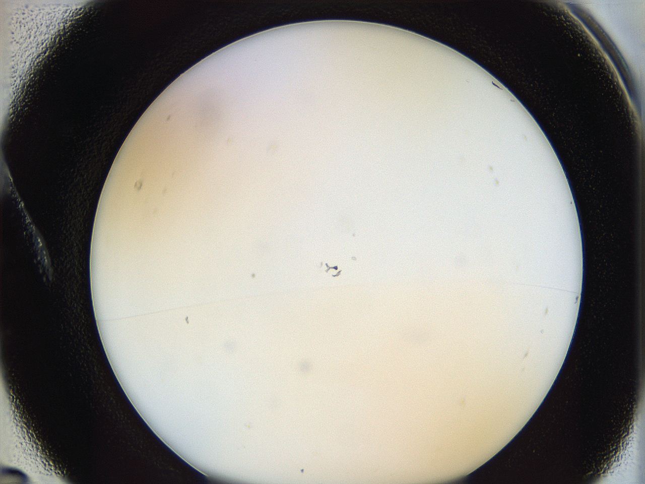 062a_A5_ImagerDefaults_0.jpg