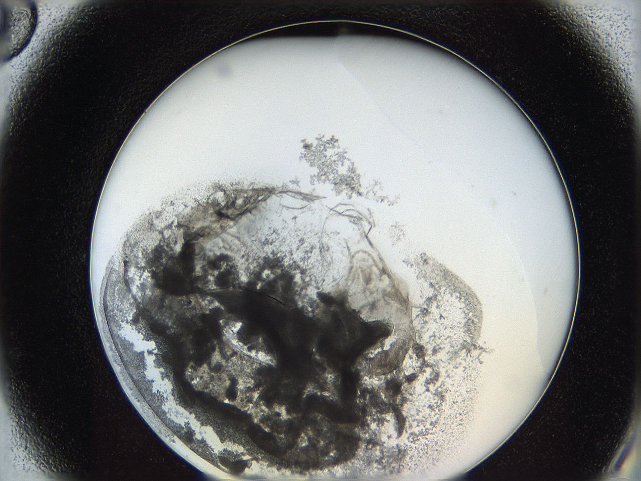 062a_A6_ImagerDefaults_4.jpg