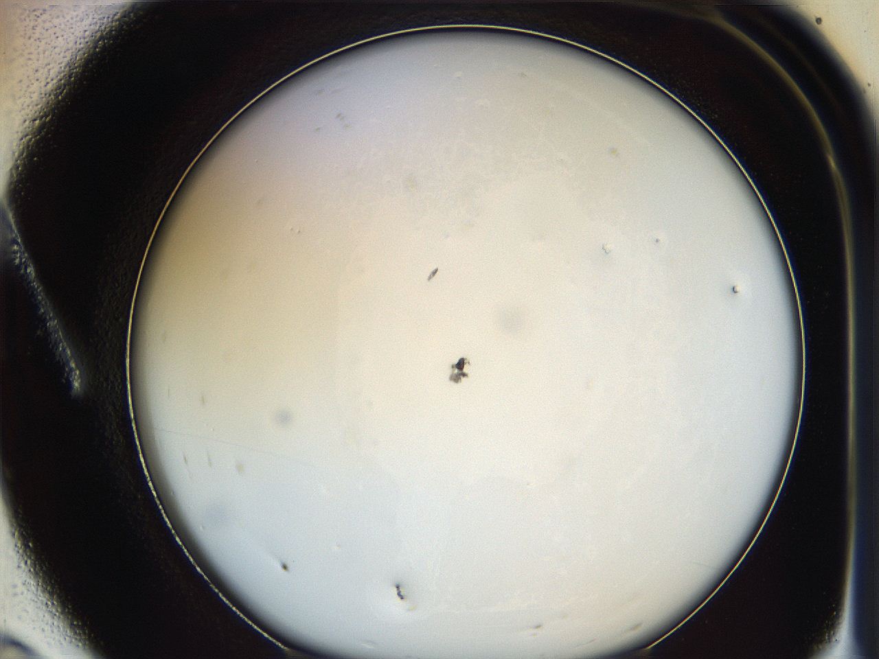 062a_A8_ImagerDefaults_0.jpg