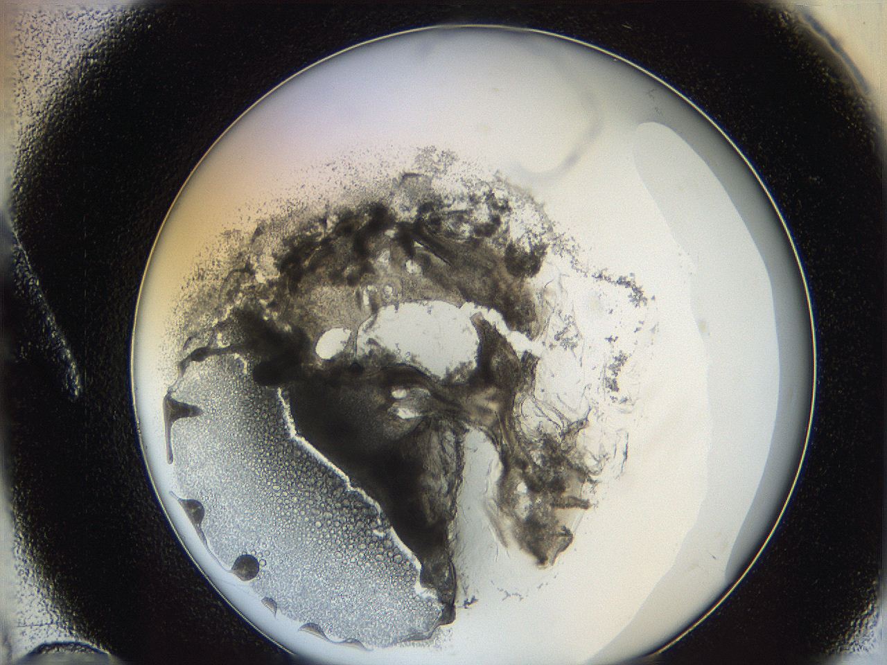 062a_A10_ImagerDefaults_3.jpg