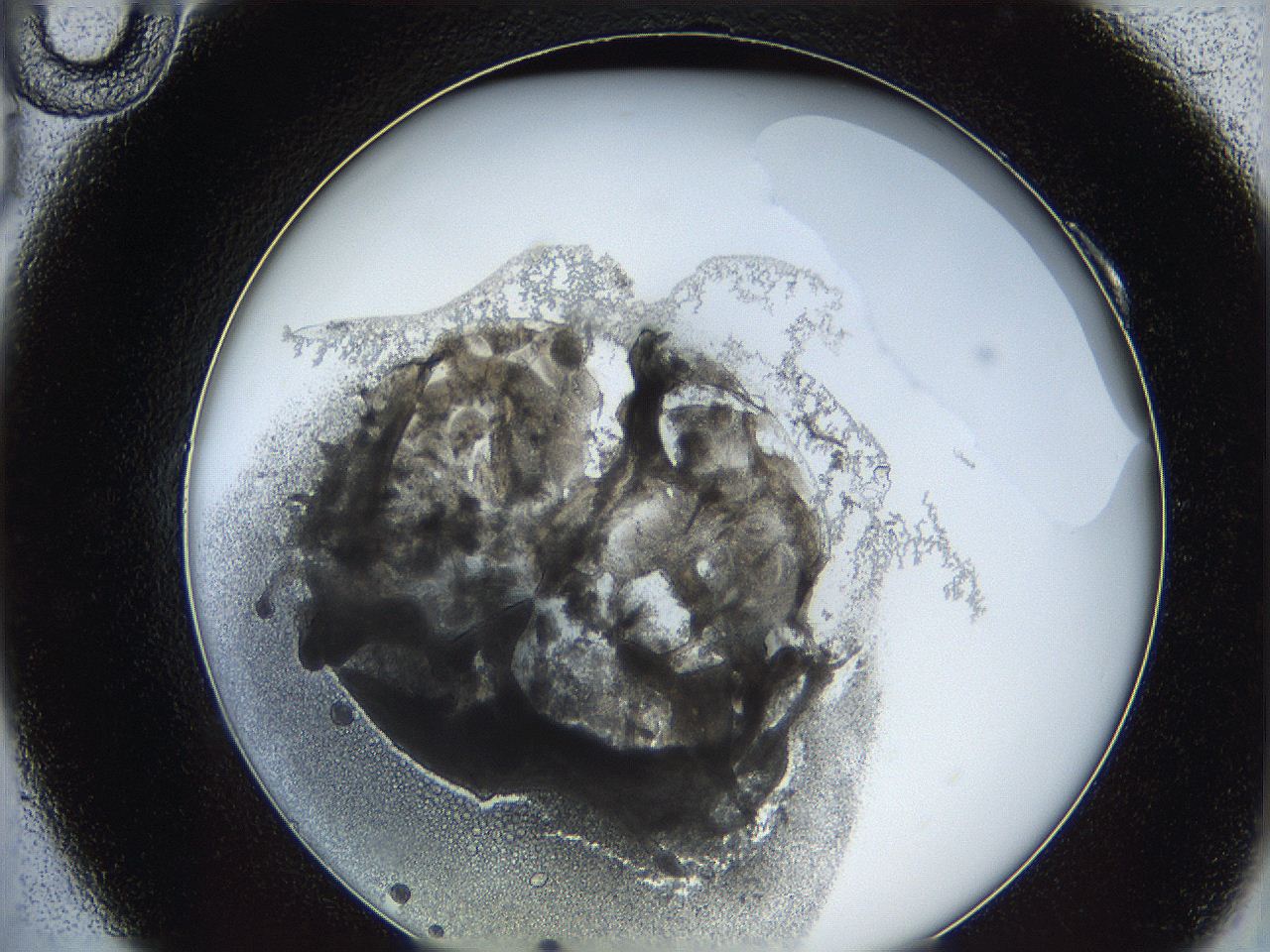 062a_A10_ImagerDefaults_4.jpg