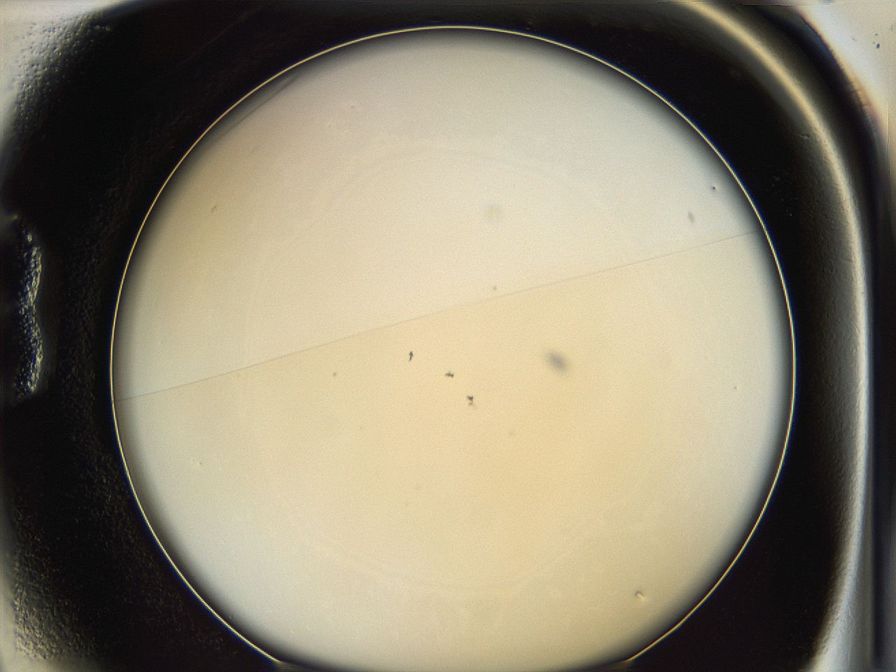 062a_B1_ImagerDefaults_0.jpg