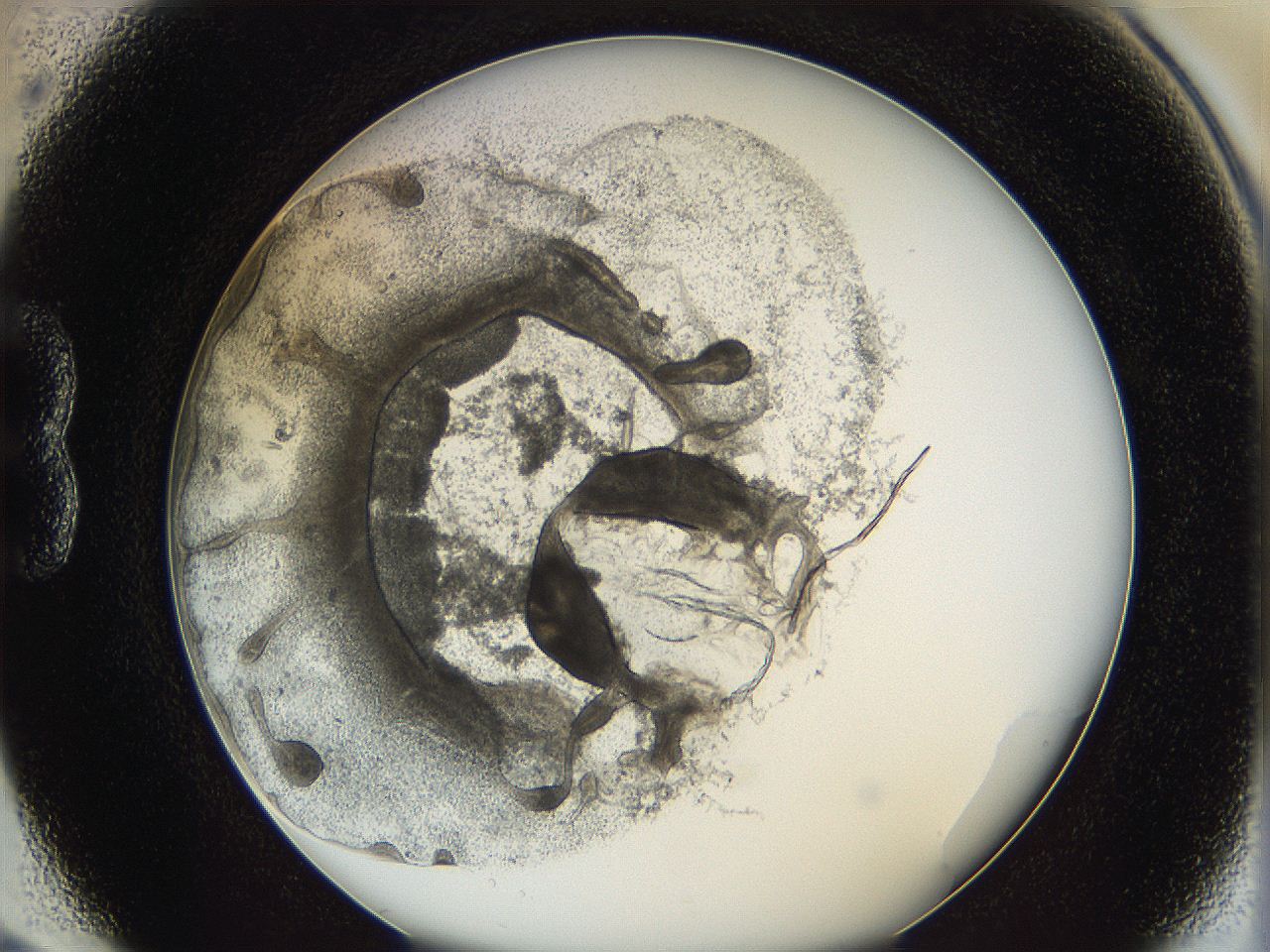 062a_B3_ImagerDefaults_3.jpg