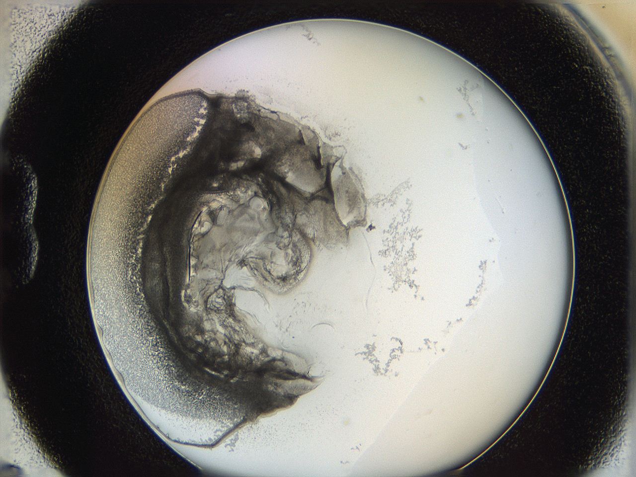 062a_B5_ImagerDefaults_3.jpg
