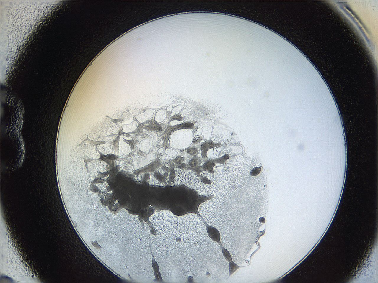 062a_B8_ImagerDefaults_5.jpg