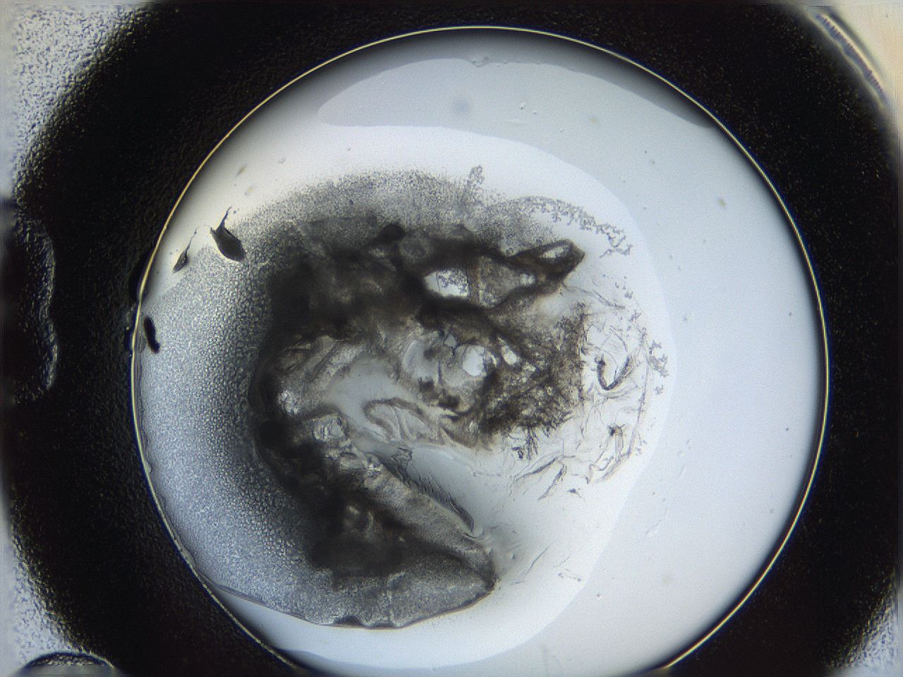 062a_B10_ImagerDefaults_5.jpg