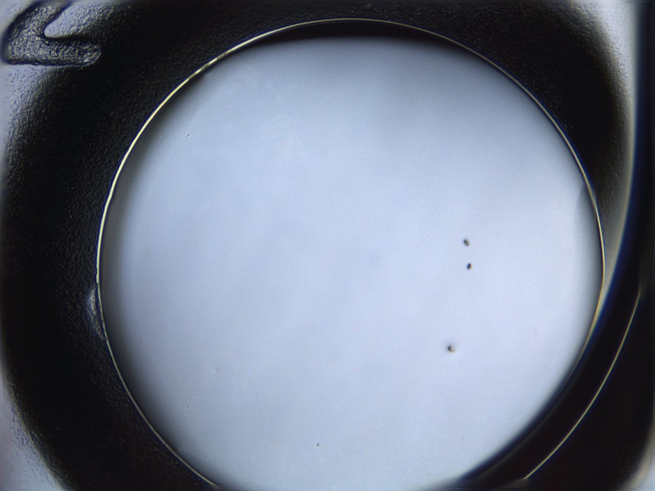 062a_B12_ImagerDefaults_1.jpg