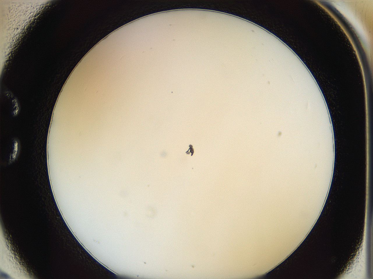 062a_C2_ImagerDefaults_0.jpg