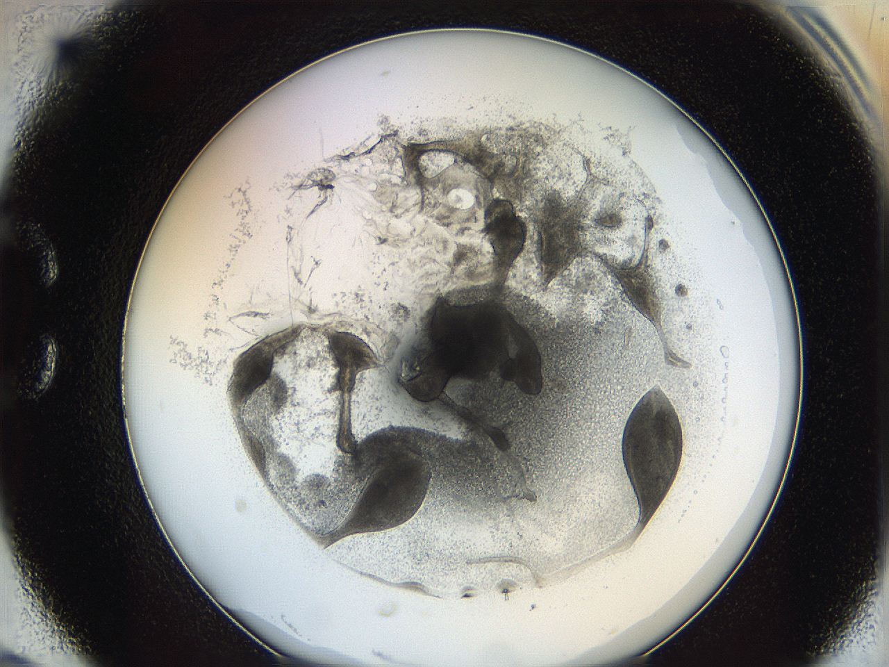 062a_C6_ImagerDefaults_5.jpg