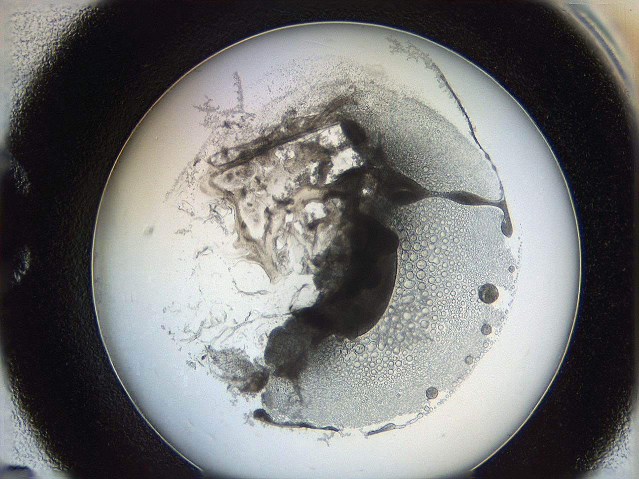 062a_C7_ImagerDefaults_5.jpg