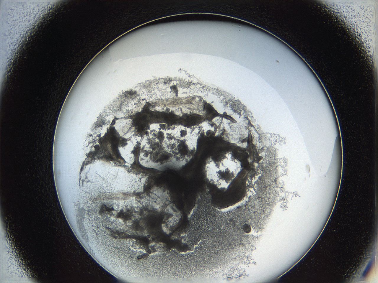 062a_C7_ImagerDefaults_3.jpg