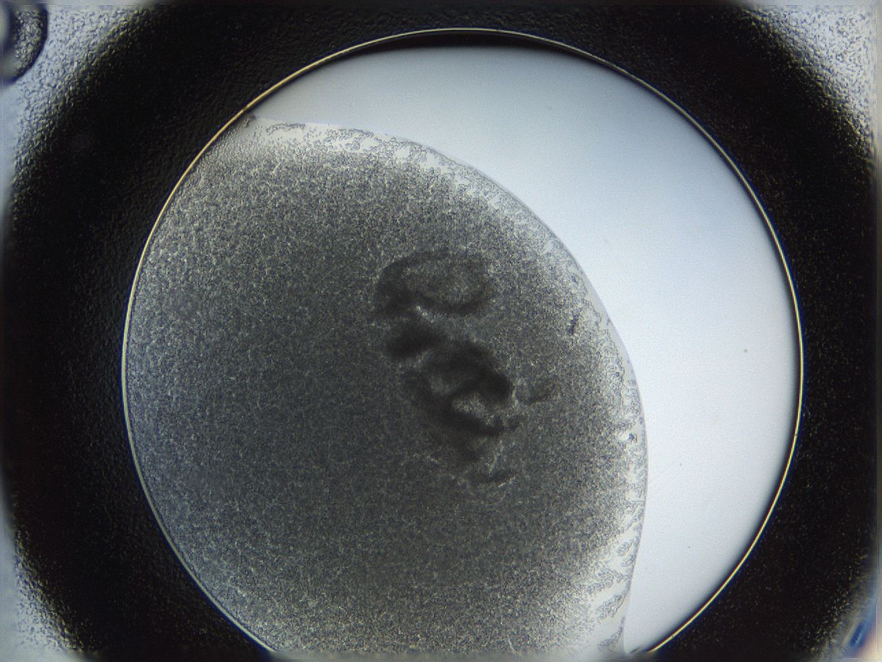 062a_C8_ImagerDefaults_3.jpg