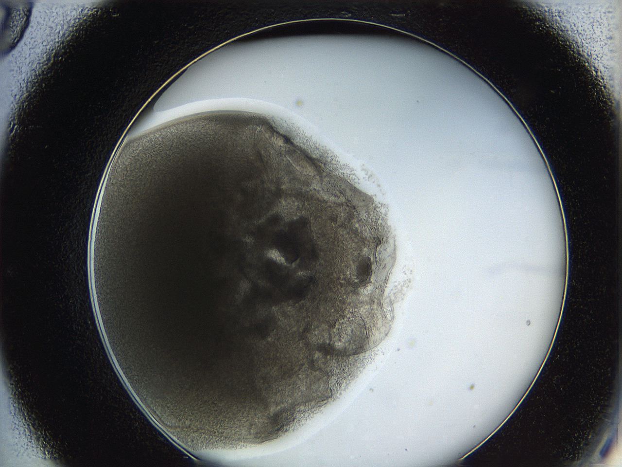 062a_C9_ImagerDefaults_3.jpg