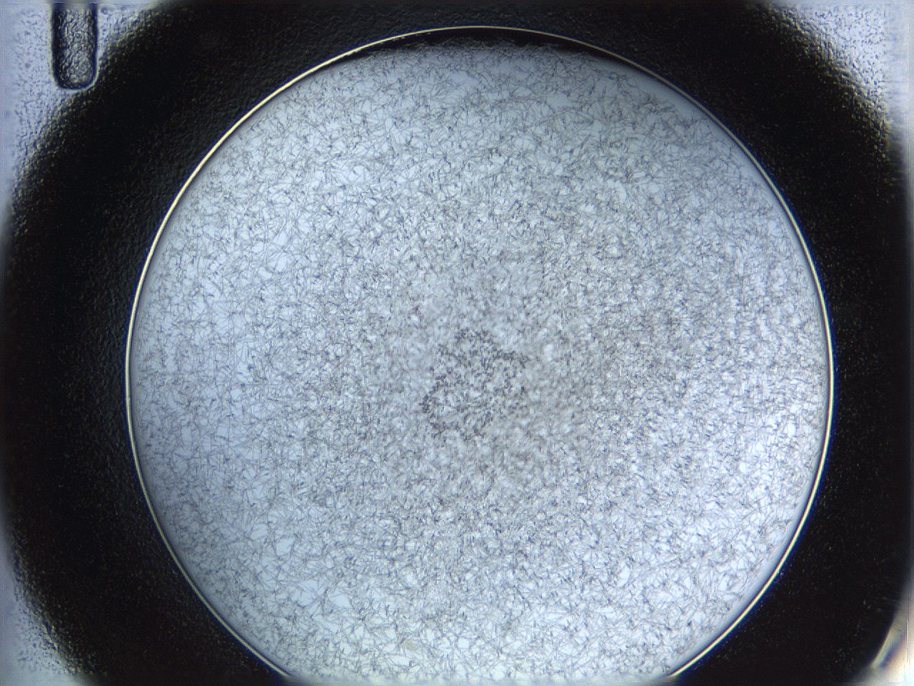 062a_C11_ImagerDefaults_7.jpg