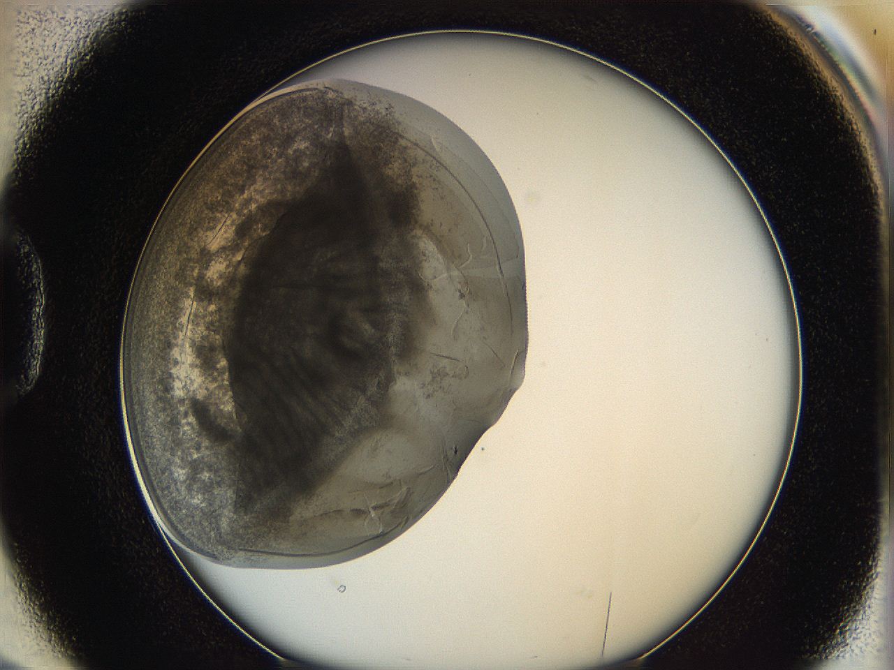 062a_D2_ImagerDefaults_3.jpg