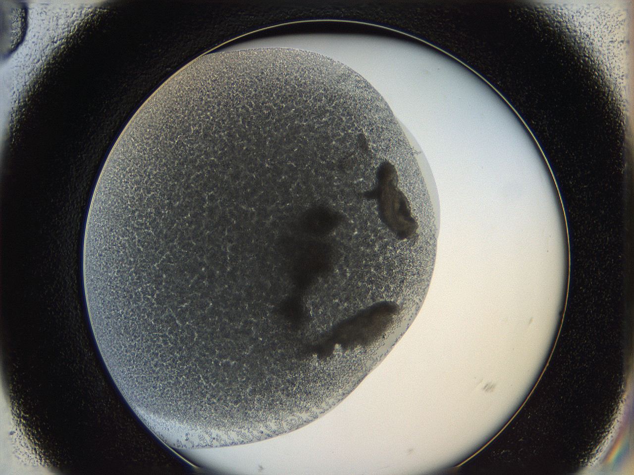 062a_D3_ImagerDefaults_4.jpg