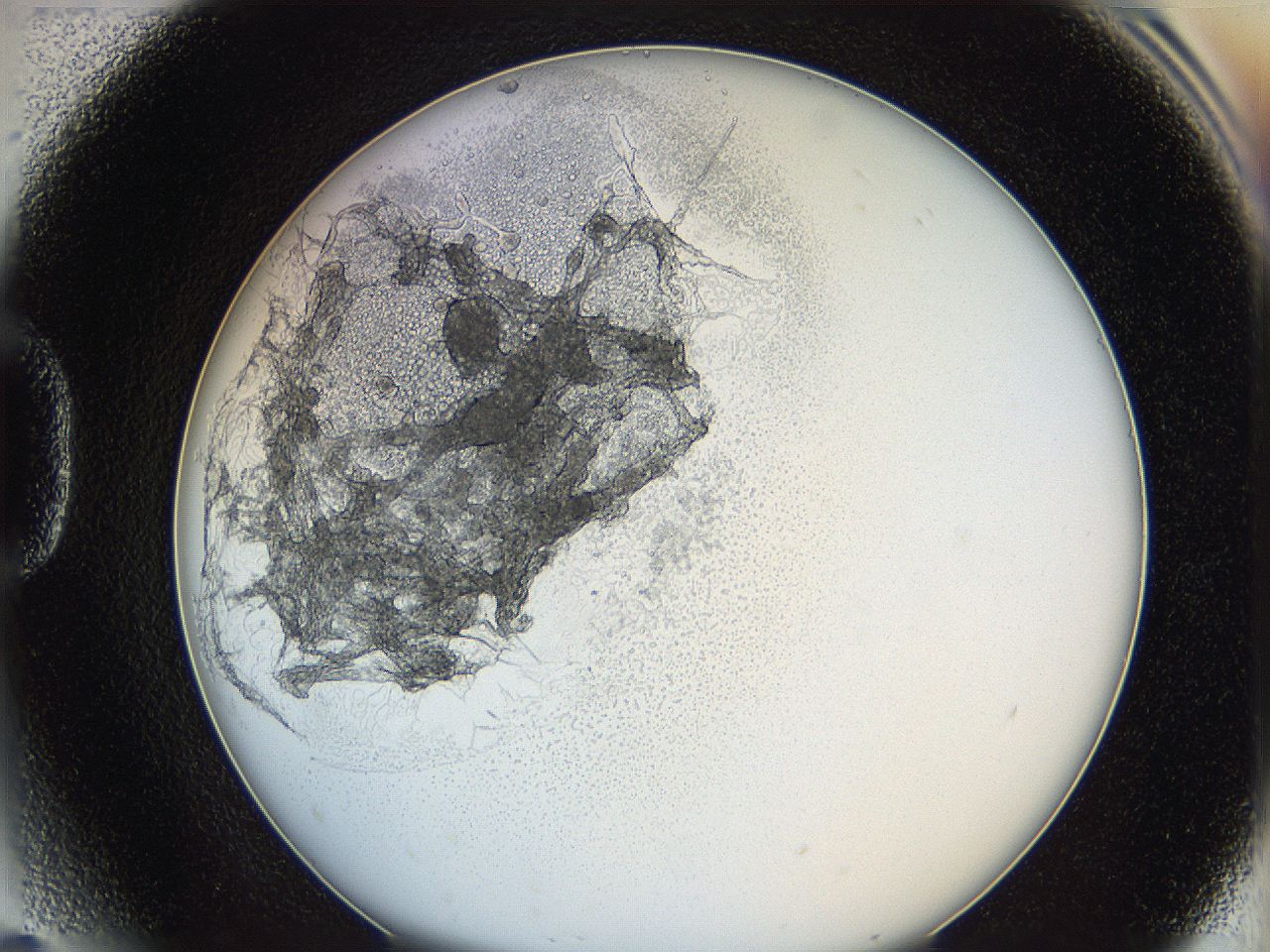 062a_D5_ImagerDefaults_5.jpg