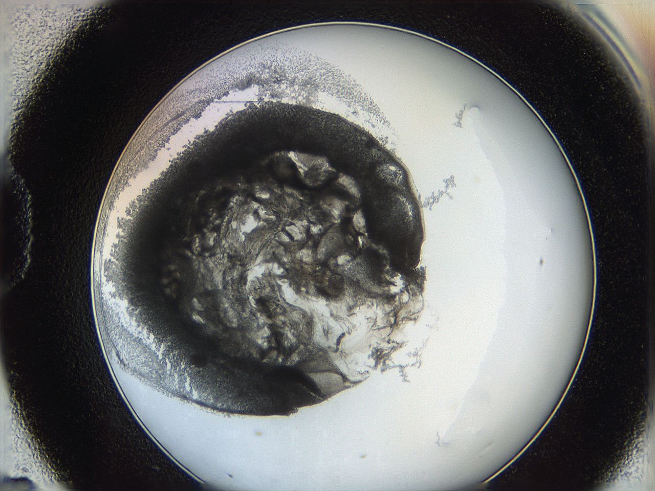 062a_D7_ImagerDefaults_5.jpg